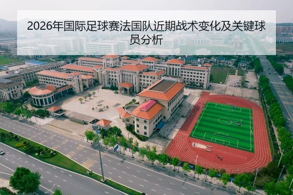 2026年国际足球赛法国队近期战术变化及关键球员分析