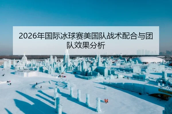 2026年国际冰球赛美国队战术配合与团队效果分析