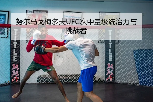 nu-er-ma-ge-mei-duo-fu-ci-zhong-liang-ji-tong-zhi-li-yu-tiao-zhan-zhe-3-703.jpg