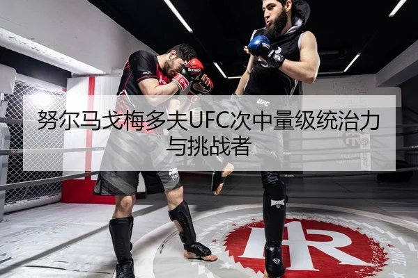努尔马戈梅多夫UFC次中量级统治力与挑战者